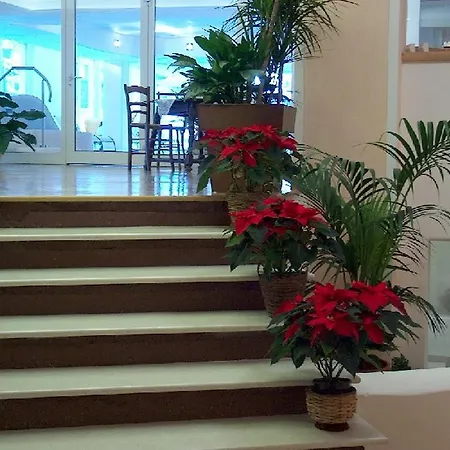 Centro Pineta Family Hotel&wellness Pinzolo