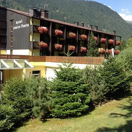 Hotel Centro Pineta Family Hotel&wellness Pinzolo