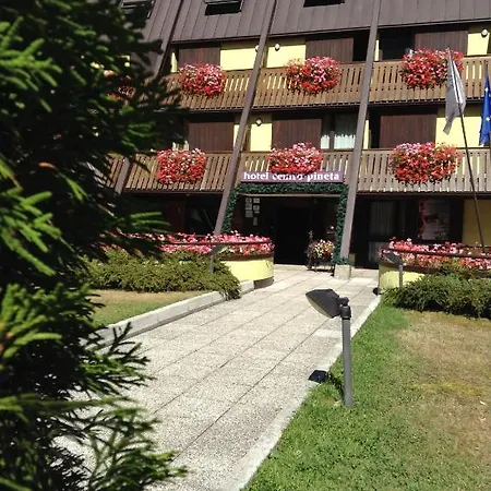 Centro Pineta Family & Wellness ホテル 3*