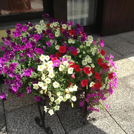 ホテル Centro Pineta Family & Wellness