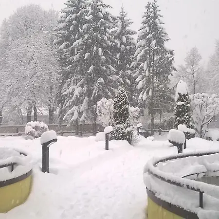 Centro Pineta Family Hotel&wellness Pinzolo